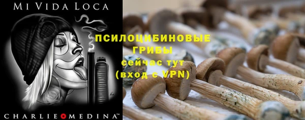 дживик Армянск