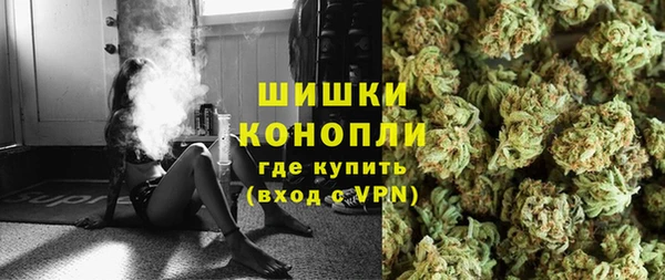 прущие грибы Арсеньев