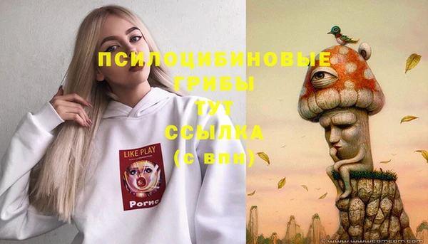 дживик Армянск