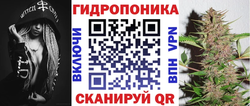 купить   Дорогобуж  кракен сайт  Бошки марихуана сатива 